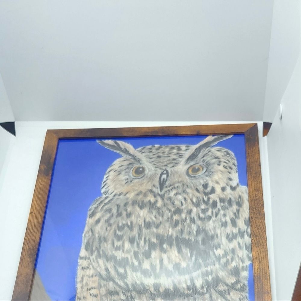 Hand Crafted Horned Owl Colored Pencil Drawing Framed 9x11" - Picture 4 of 12